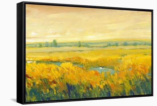 Hot Summer Day II-Tim O'toole-Framed Stretched Canvas