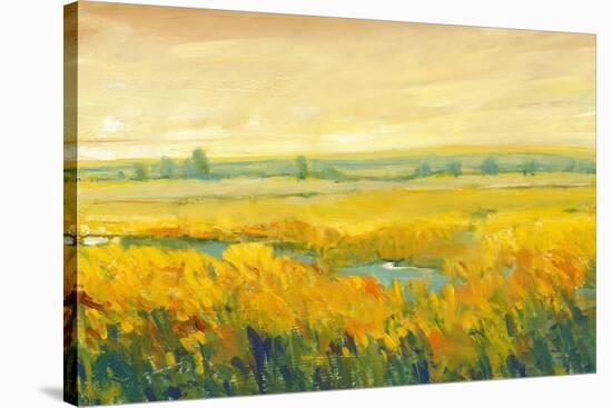 Hot Summer Day II-Tim O'toole-Stretched Canvas