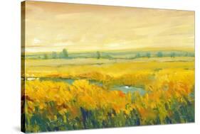 Hot Summer Day II-Tim O'toole-Stretched Canvas