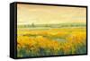 Hot Summer Day II-Tim O'toole-Framed Stretched Canvas