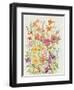 Hot Summer Mix II-null-Framed Art Print