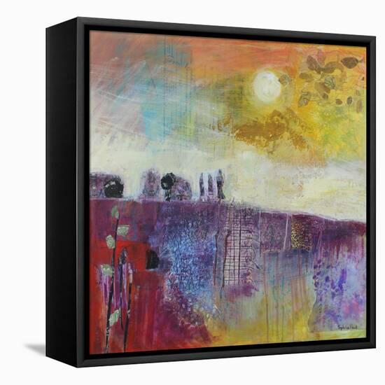 Hot Summer Sun-Sylvia Paul-Framed Stretched Canvas