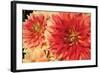 Hot Sun I-Maureen Love-Framed Photographic Print