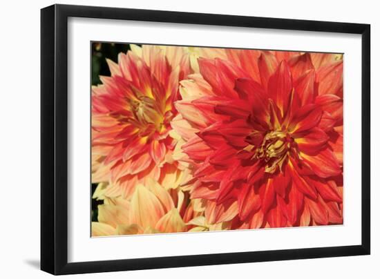 Hot Sun I-Maureen Love-Framed Photographic Print