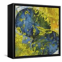 Hot Tropic II-Renée Stramel-Framed Stretched Canvas