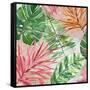 Hot Tropics I-Carol Robinson-Framed Stretched Canvas