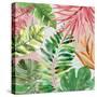 Hot Tropics II-Carol Robinson-Stretched Canvas