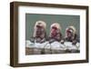 Hot-tubbing monkeys, Hakodate, Hokkaido, Japan, Asia-Michael Runkel-Framed Photographic Print