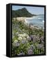 Hot Water Beach, Coromandel Peninsula, South Auckland, New Zealand-Ken Gillham-Framed Stretched Canvas