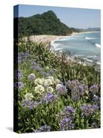 Hot Water Beach, Coromandel Peninsula, South Auckland, New Zealand-Ken Gillham-Stretched Canvas