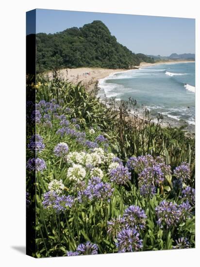 Hot Water Beach, Coromandel Peninsula, South Auckland, New Zealand-Ken Gillham-Stretched Canvas