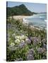 Hot Water Beach, Coromandel Peninsula, South Auckland, New Zealand-Ken Gillham-Stretched Canvas