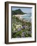 Hot Water Beach, Coromandel Peninsula, South Auckland, New Zealand-Ken Gillham-Framed Photographic Print