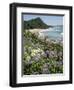 Hot Water Beach, Coromandel Peninsula, South Auckland, New Zealand-Ken Gillham-Framed Photographic Print