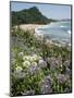 Hot Water Beach, Coromandel Peninsula, South Auckland, New Zealand-Ken Gillham-Mounted Photographic Print