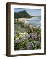 Hot Water Beach, Coromandel Peninsula, South Auckland, New Zealand-Ken Gillham-Framed Photographic Print