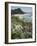 Hot Water Beach, Coromandel Peninsula, South Auckland, New Zealand-Ken Gillham-Framed Photographic Print