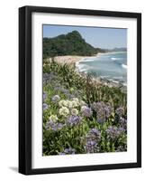 Hot Water Beach, Coromandel Peninsula, South Auckland, New Zealand-Ken Gillham-Framed Photographic Print