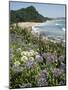 Hot Water Beach, Coromandel Peninsula, South Auckland, New Zealand-Ken Gillham-Mounted Photographic Print