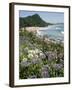 Hot Water Beach, Coromandel Peninsula, South Auckland, New Zealand-Ken Gillham-Framed Photographic Print