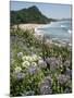 Hot Water Beach, Coromandel Peninsula, South Auckland, New Zealand-Ken Gillham-Mounted Photographic Print