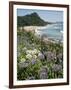 Hot Water Beach, Coromandel Peninsula, South Auckland, New Zealand-Ken Gillham-Framed Photographic Print