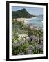 Hot Water Beach, Coromandel Peninsula, South Auckland, New Zealand-Ken Gillham-Framed Photographic Print