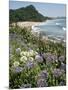 Hot Water Beach, Coromandel Peninsula, South Auckland, New Zealand-Ken Gillham-Mounted Photographic Print