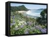 Hot Water Beach, Coromandel Peninsula, South Auckland, North Island, New Zealand-Ken Gillham-Framed Stretched Canvas