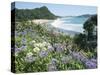 Hot Water Beach, Coromandel Peninsula, South Auckland, North Island, New Zealand-Ken Gillham-Stretched Canvas