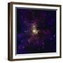 Hot, Young Stars-Stocktrek Images-Framed Photographic Print