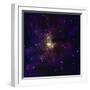 Hot, Young Stars-Stocktrek Images-Framed Photographic Print