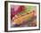 Hotdog-Richard Wallich-Framed Giclee Print