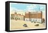 Hotel Alms and Walnut Hills, Cincinnati, Ohio-null-Framed Stretched Canvas