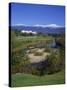 Hotel Below Mount Washington, White Mountains National Forest, New Hampshire, New England, USA-Rainford Roy-Stretched Canvas