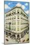 Hotel Bristol, Havana, Cuba-Curt Teich & Company-Mounted Art Print