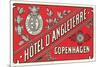 Hotel d'Angleterre Trunk Label-null-Mounted Premium Giclee Print