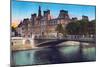 Hotel De Ville, from 'Souvenirs De Paris - Monuments Vues En Couleurs'-null-Mounted Giclee Print