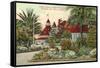 Hotel del Coronado in Winter, San Diego, California-null-Framed Stretched Canvas