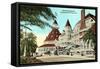 Hotel del Coronado, San Diego, California-null-Framed Stretched Canvas