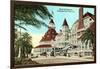 Hotel del Coronado, San Diego, California-null-Framed Art Print