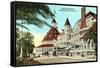 Hotel del Coronado, San Diego, California-null-Framed Stretched Canvas