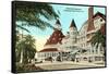 Hotel del Coronado, San Diego, California-null-Framed Stretched Canvas