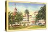 Hotel del Coronado, San Diego, California-null-Stretched Canvas