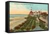 Hotel del Coronado, San Diego, California-null-Framed Stretched Canvas