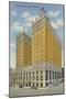 Hotel Duluth-null-Mounted Art Print