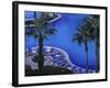 Hotel Finisterra, Cabo San Lucas, Baja California Sur, Mexico-Walter Bibikow-Framed Photographic Print