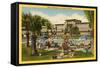 Hotel Flamingo Pool, Las Vegas, Nevada-null-Framed Stretched Canvas