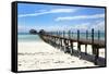 Hotel Jetty, Bwejuu Beach, Zanzibar, Tanzania, Indian Ocean, East Africa, Africa-Peter Richardson-Framed Stretched Canvas