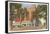 Hotel Lorain, Madison, Wisconsin-null-Framed Stretched Canvas